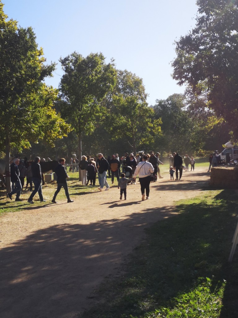 stand journée de l'animal TN13