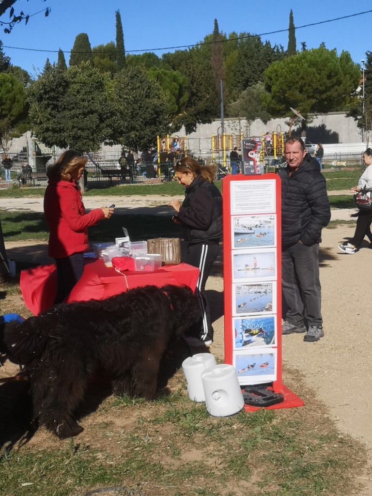 stand journée de l'animal TN13