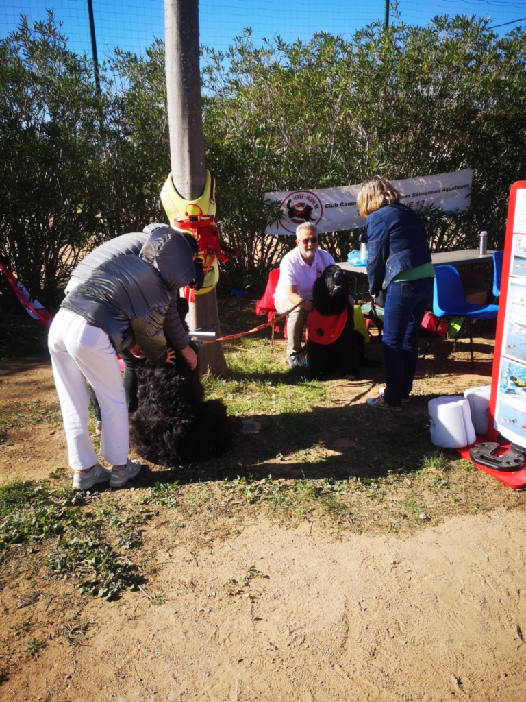 stand journée de l'animal TN13